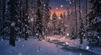 Winterwald Projektionsloop